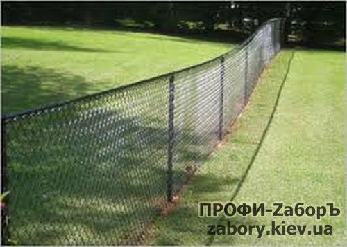 Паркан із сітки рабиці