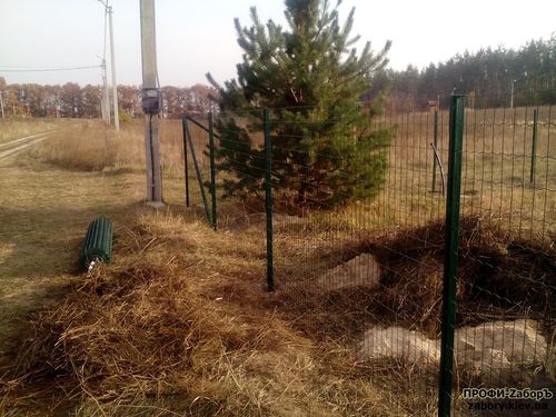 Паркан з сітки з полімерним покриттям