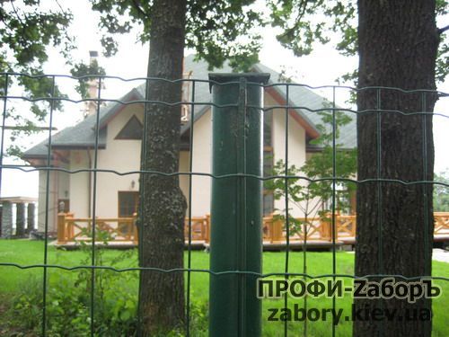 Паркан з сітки з полімерним покриттям